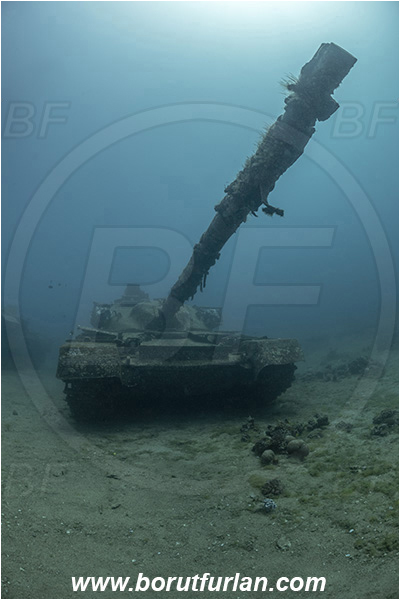 Aqaba, Jordan, Red sea, Wreck, Tank wreck, Tank, Chieftain tank (Khalid)