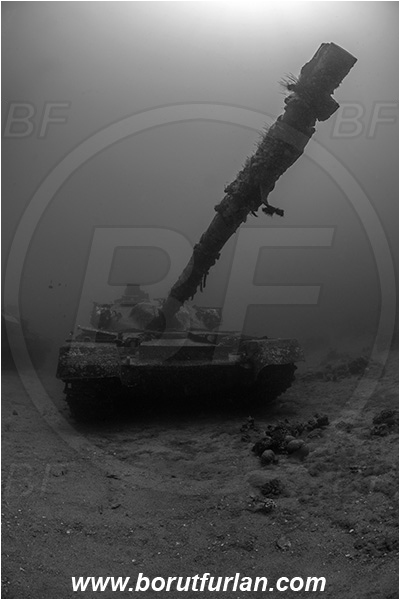 Aqaba, Jordan, Red sea, Wreck, Tank wreck, Tank, Chieftain tank (Khalid), Black&white