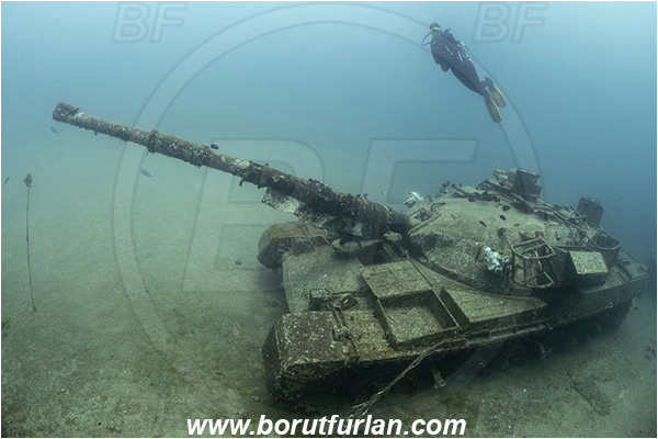 Aqaba, Jordan, Red sea, Wreck, Tank wreck, Tank, Chieftain tank (Khalid), Diver