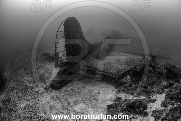 Cape Vogel, Papua New Guinea, Pacific ocean, Wreck, Airplane, Bomber, B-17, Flying fortress, Black Jack, Black&white