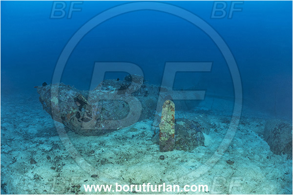 Cape Vogel, Papua New Guinea, Pacific ocean, Wreck, Airplane, Bomber, B-17, Flying fortress, Black Jack