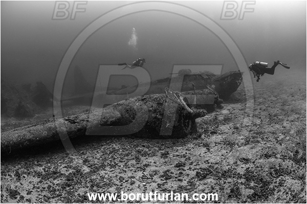 Cape Vogel, Papua New Guinea, Pacific ocean, Wreck, Airplane, Bomber, B-17, Flying fortress, Black Jack, Black&white, Diver, Divers