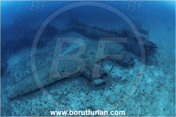 Cape Vogel, Papua New Guinea, Pacific ocean, Wreck, Airplane, Bomber, B-17, Flying fortress, Black Jack