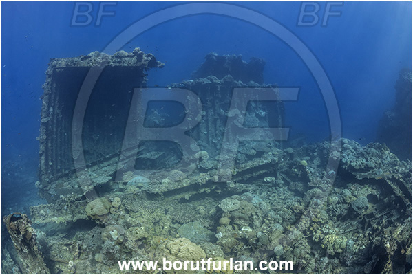 Star Reefs, Solomon Sea, Papua New Guinea, Pacific ocean, SS Russell H. Chittenden wreck, Wreck
