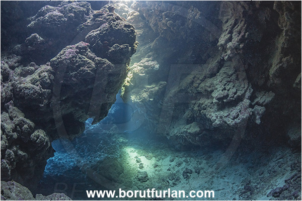 Wayasewa island, Fiji, Pacific ocean, Reef, Canyon, Cave