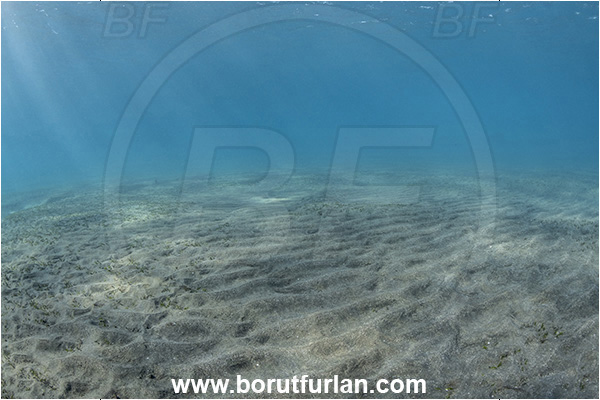 Marsa Abu Dabab, Marsa Alam, Egypt, Red sea, Sand