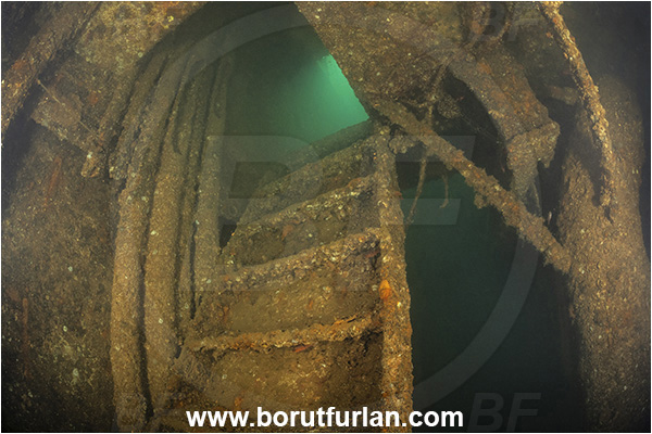 Fang Ming wreck, Wreck, Isla Espirito Santo, La Paz, Baja California, Sea of Cortez, Mexico, Pacific ocean, Interior, Stairs