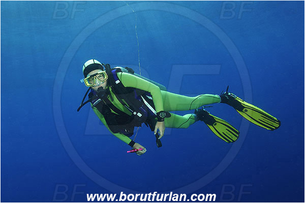 Elphinstone reef, Marsa Alam, Egypt, Red sea, Diver, Decompression, Deco stop