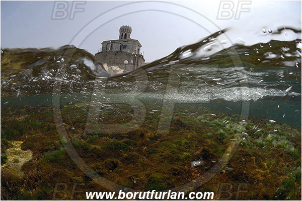 Piran, Slovenia, Adriatic sea, Mediterranean sea, Split-shot, Over-under, Lighthouse, Reef, Algae