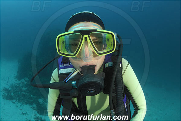 Similan islands, Thailand, Indian Ocean, Diver, Girl, Portrait, Fish, Labroides dimidiatus, Labroides, Labridae, Cleaner Wrasse, Wrasse, Cleaning, Face