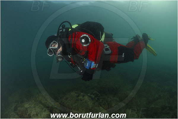 Piran, Slovenia, Adriatic sea, Mediterranean sea, Reef, Diver