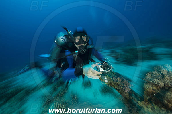 Marsa Shagra, Marsa Alam, Egypt, Red sea, Diver, Reef, Long exposure, Zoom, Zooming during exposure