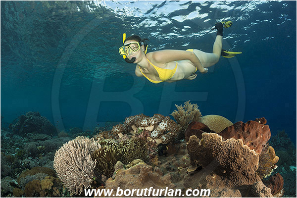 Pantar, Alor, Indonesia, Coral, Anthozoa, Cnidaria, Cnidarian, Reef, Snorkeling, Breath-hold diving, Apnea, Girl, Swimming suit