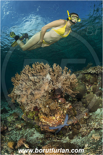Pantar, Alor, Indonesia, Sinularia sp., Sinularia, Alcyoniidae, Digitate leather coral, Leather coral, Coral, Cnidaria, Cnidarian, Reef, Snorkeling, Breath-hold diving, Apnea, Girl, Swimming suit