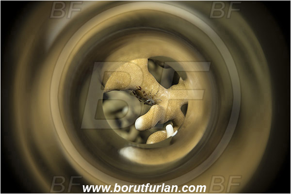 Marsa Shagra, Marsa Alam, Egypt, Red sea, Galathea sp., Galathea, Galatheidae, Decapoda, Crustacea, Crustacean, Squat Lobster, Abstract, Swirl, View through reflective tube, Abstract reflection