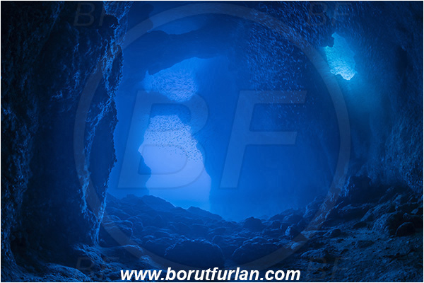 Island Bisevo, Croatia, Adriatic sea, Mediterranean sea, Reef, Cave, Blue cave, HDR, High dynamic range, Fish school
