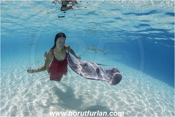 French Polynesia, Society Islands, Moorea, Pacific ocean, Pateobatis fai, Pateobatis, Dasyatidae, Elasmobranchii, Pink Whipray, Stingray, Fish, Sand, Breath-hold diving, Apnea, Girl, Red dress, Underwater fashion, Fashion
