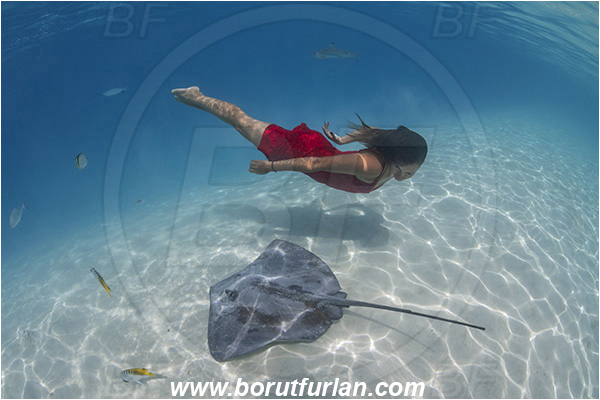 French Polynesia, Society Islands, Moorea, Pacific ocean, Pateobatis fai, Pateobatis, Dasyatidae, Elasmobranchii, Pink Whipray, Stingray, Fish, Sand, Breath-hold diving, Apnea, Girl, Red dress, Underwater fashion, Fashion