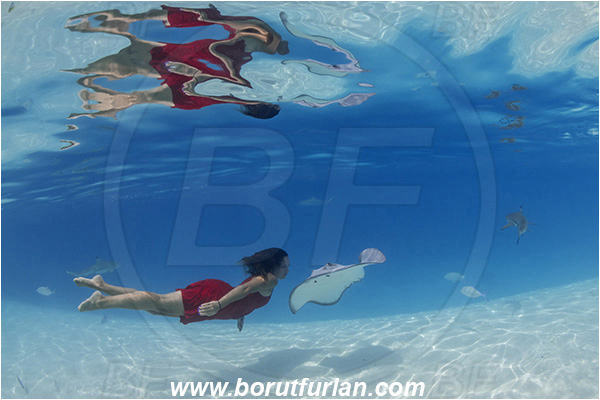 French Polynesia, Society Islands, Moorea, Pacific ocean, Pateobatis fai, Pateobatis, Dasyatidae, Elasmobranchii, Pink Whipray, Stingray, Fish, Sand, Breath-hold diving, Apnea, Girl, Red dress, Underwater fashion, Fashion, Reflection