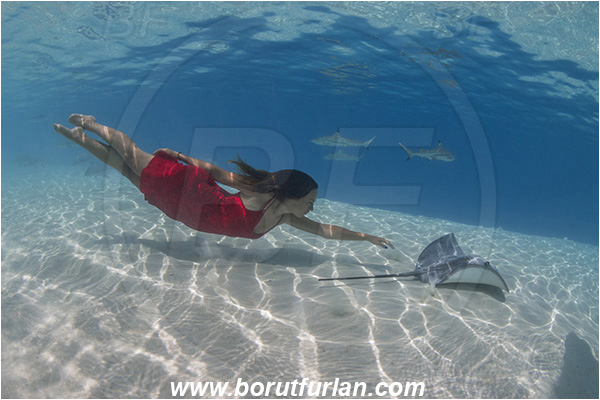 French Polynesia, Society Islands, Moorea, Pacific ocean, Pateobatis fai, Pateobatis, Dasyatidae, Elasmobranchii, Pink Whipray, Stingray, Fish, Sand, Breath-hold diving, Apnea, Girl, Red dress, Underwater fashion, Fashion