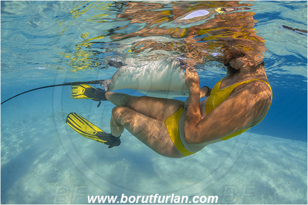 French Polynesia, Society Islands, Moorea, Pacific ocean, Pateobatis fai, Pateobatis, Dasyatidae, Elasmobranchii, Pink Whipray, Stingray, Fish, Sand, Snorkeling, Breath-hold diving, Apnea, Girl, Swimming suit