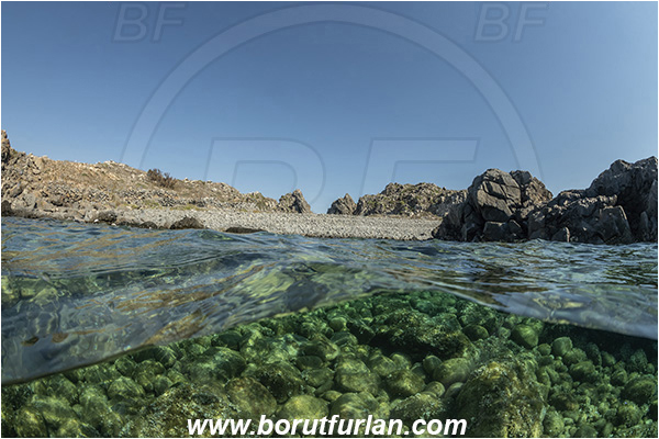 Island Brusnik, Croatia, Adriatic sea, Mediterranean sea, Reef, Split-shot, Over-under, Rocks, Beach, Stones